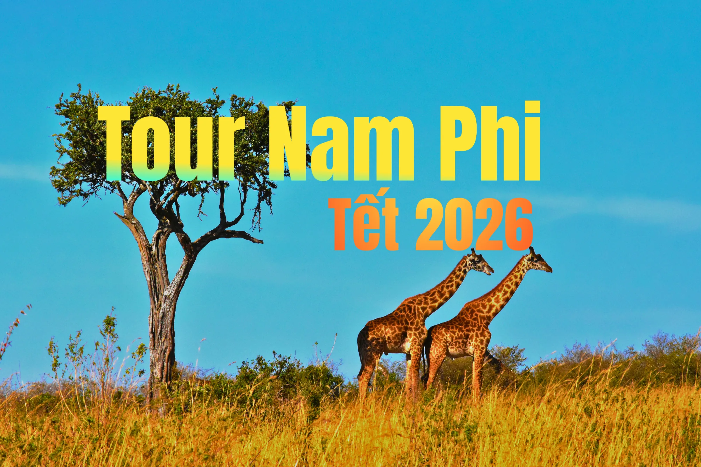 Tour Nam Phi Tết Nguyên đán 2026: Capetown –…