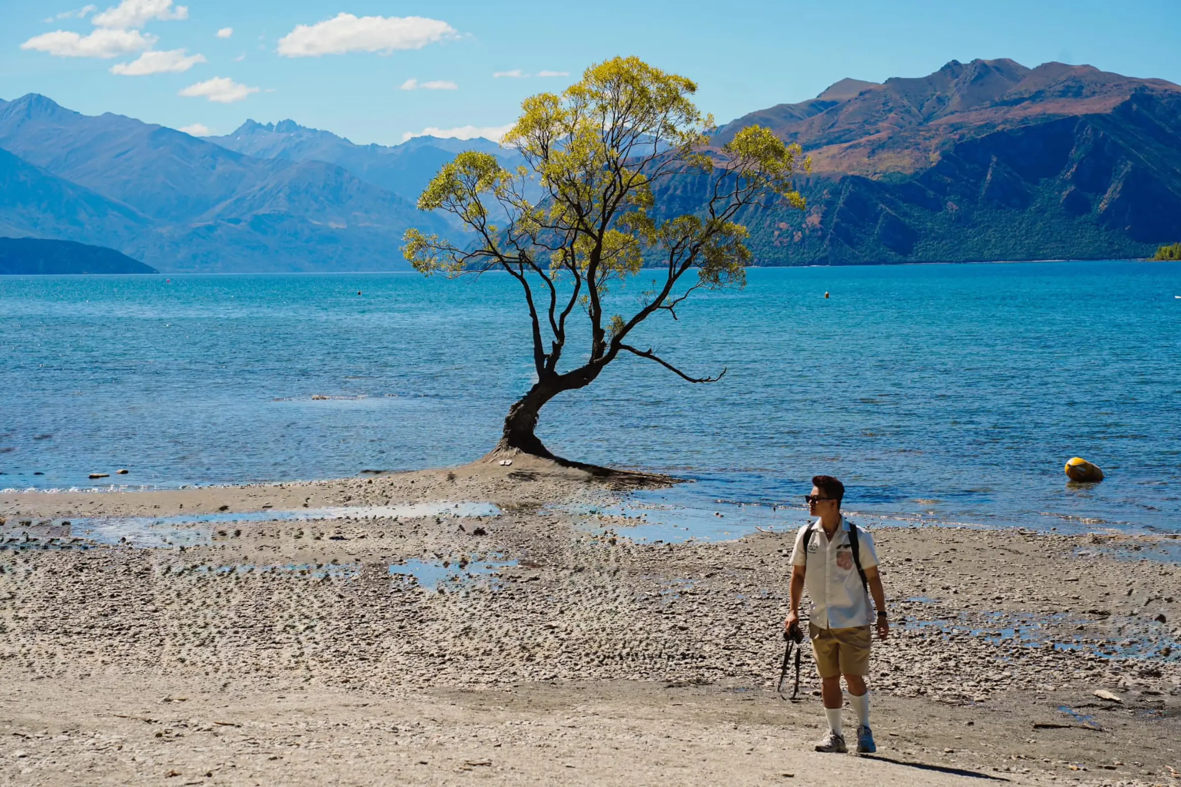 Tour New Zealand Tết Nguyên đán 2026 