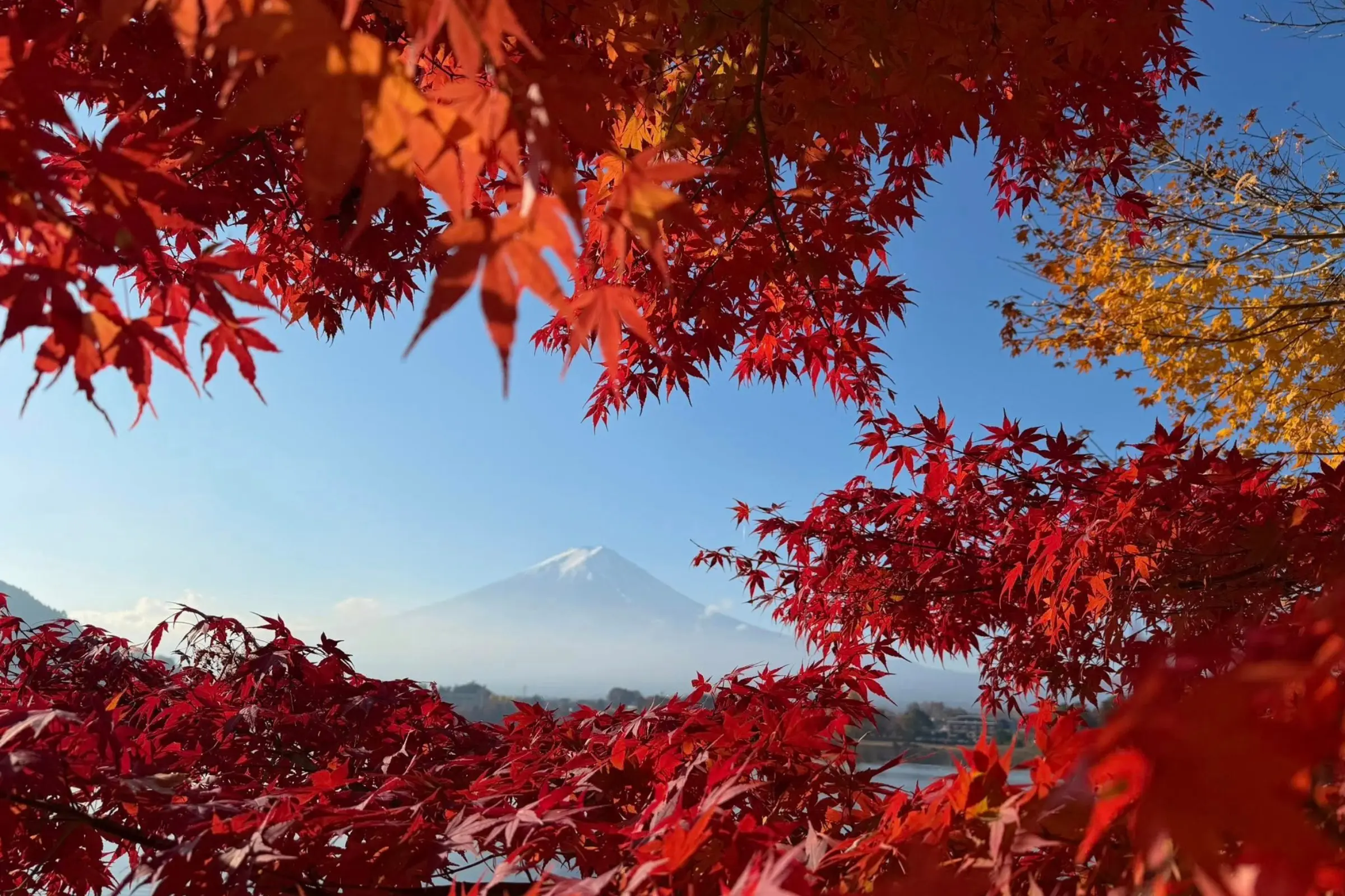 Tour Nhật Bản Tết 2026: Hà Nội - Tokyo - Núi Phú Sĩ - Nagoya - Kyoto - Osaka