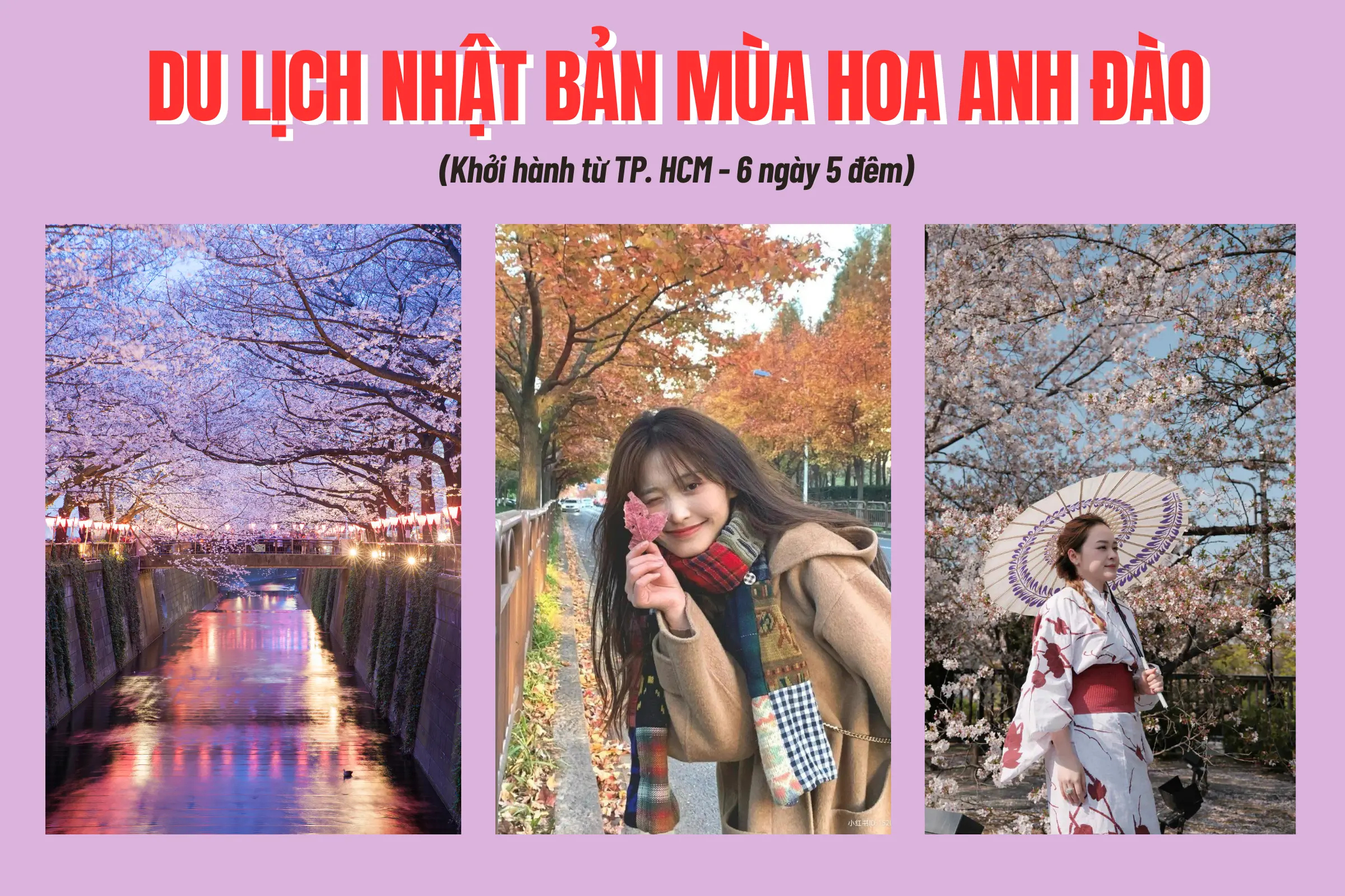 Tour Nhật Bản Tết 2026 + Ngắm hoa anh đào sớm: TP. HCM -  Tokyo – Phú Sĩ – Nagoya – Kyoto – Osaka