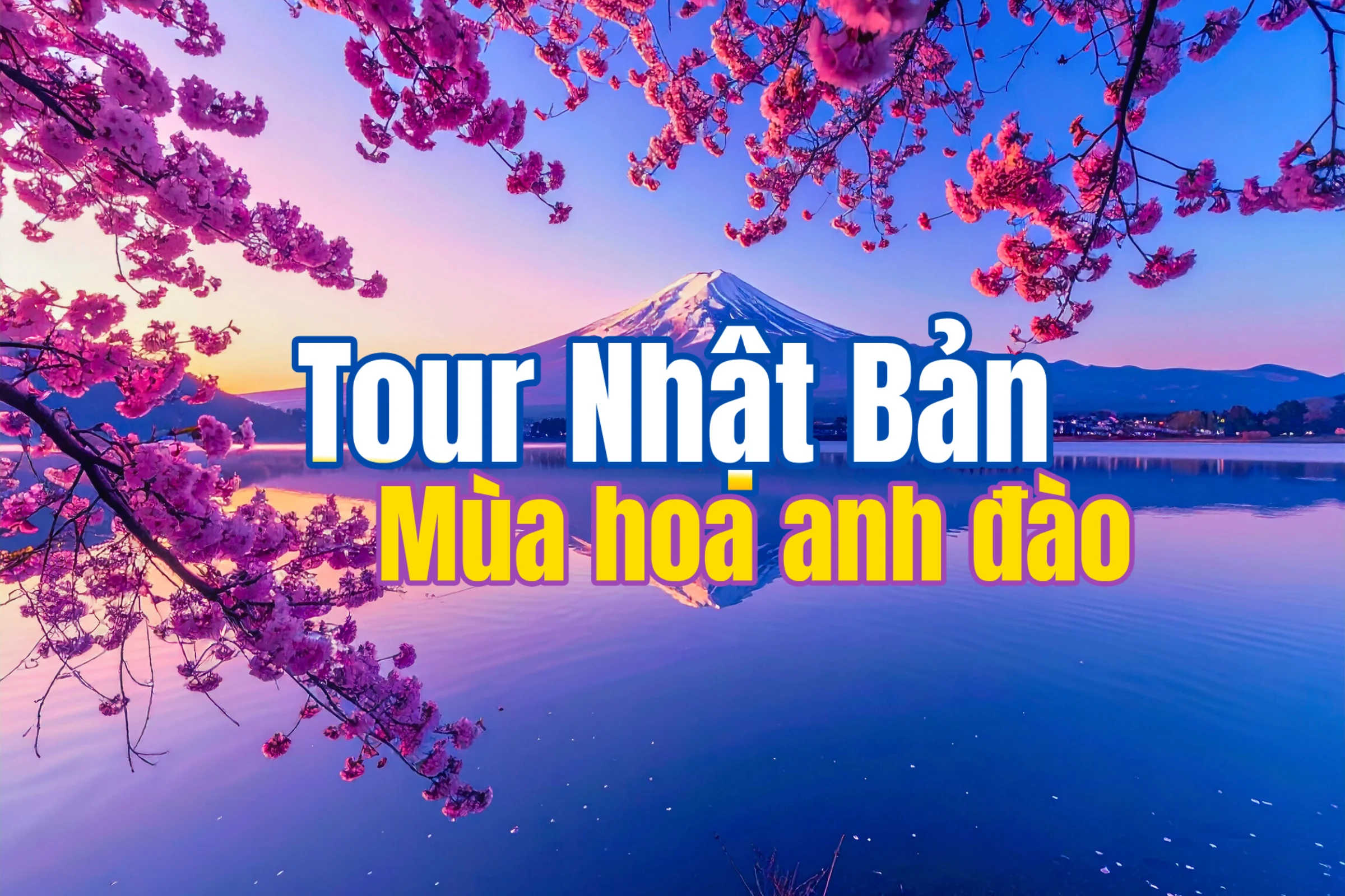 Tour Nhật Bản Tết 2026 + Ngắm hoa anh…