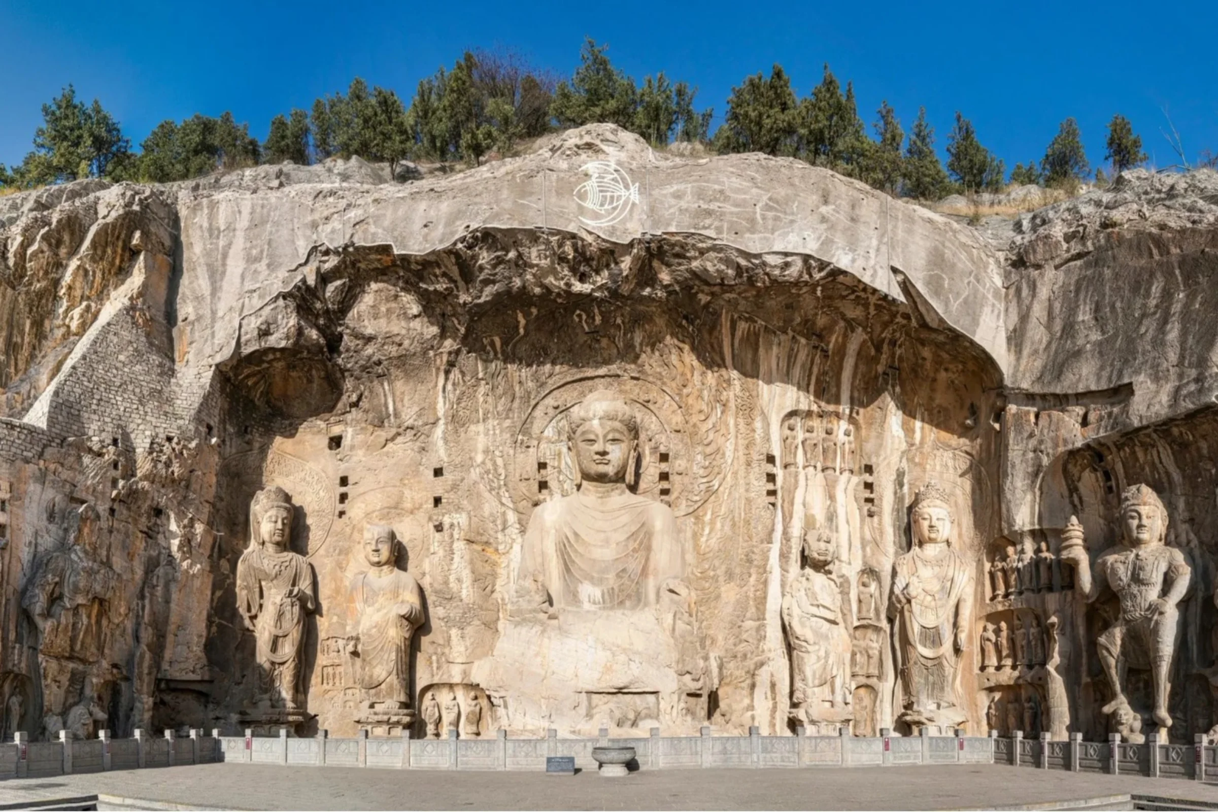 Tour Trung Quốc Tết 2026: Tây An - Lạc Dương - Vân Đài Sơn - Khai Phong