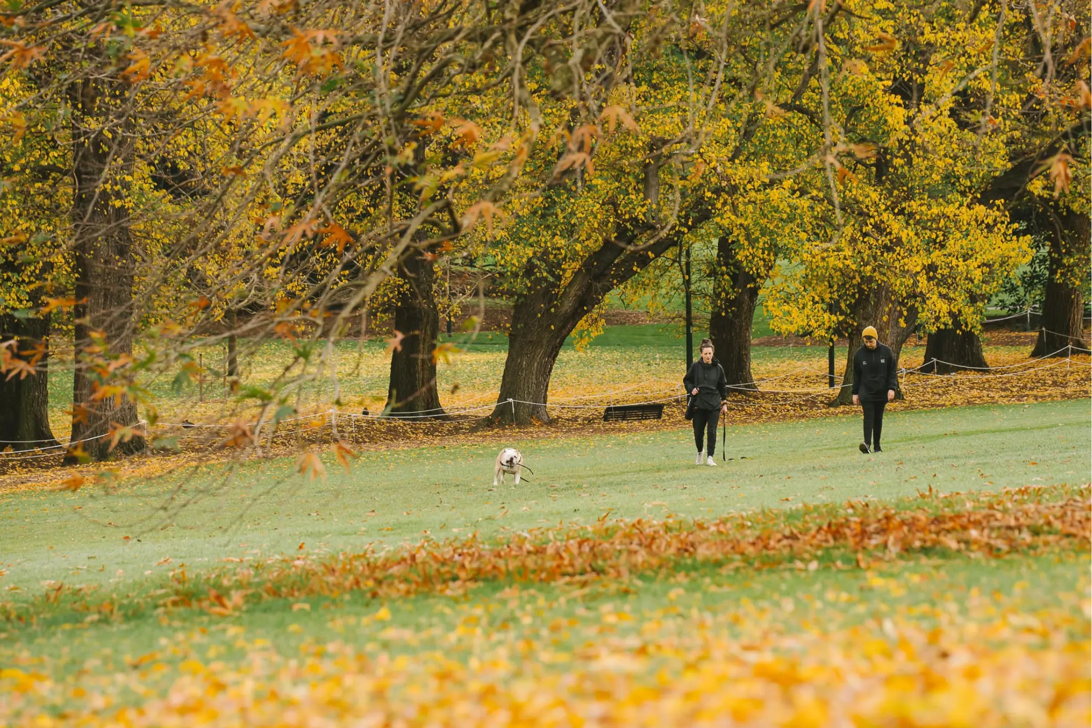 Tour Úc mùa thu 7 ngày 6 đêm