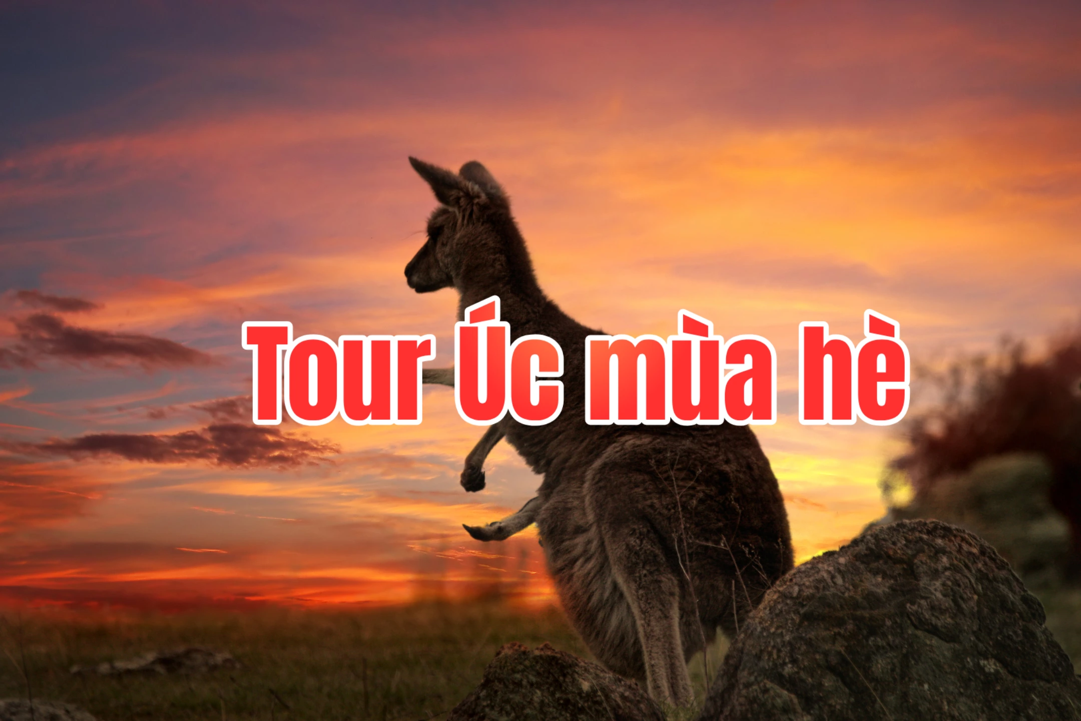 Tour Úc mùa hè 7 ngày 6 đêm: Melbourne&hellip;