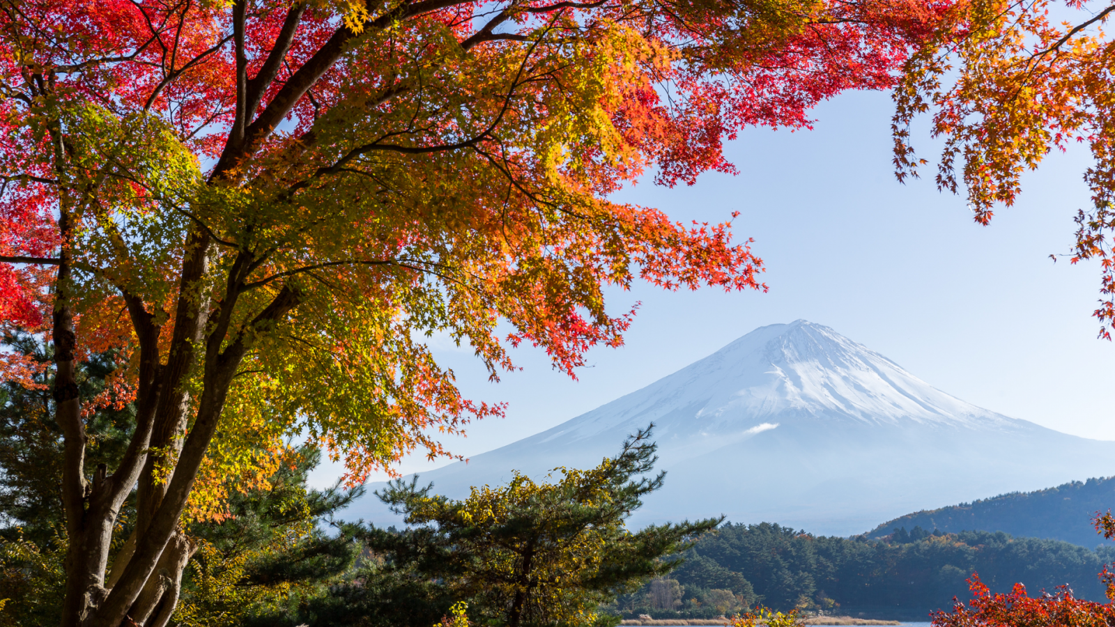 Du lịch Nhật Bản mùa lá đỏ