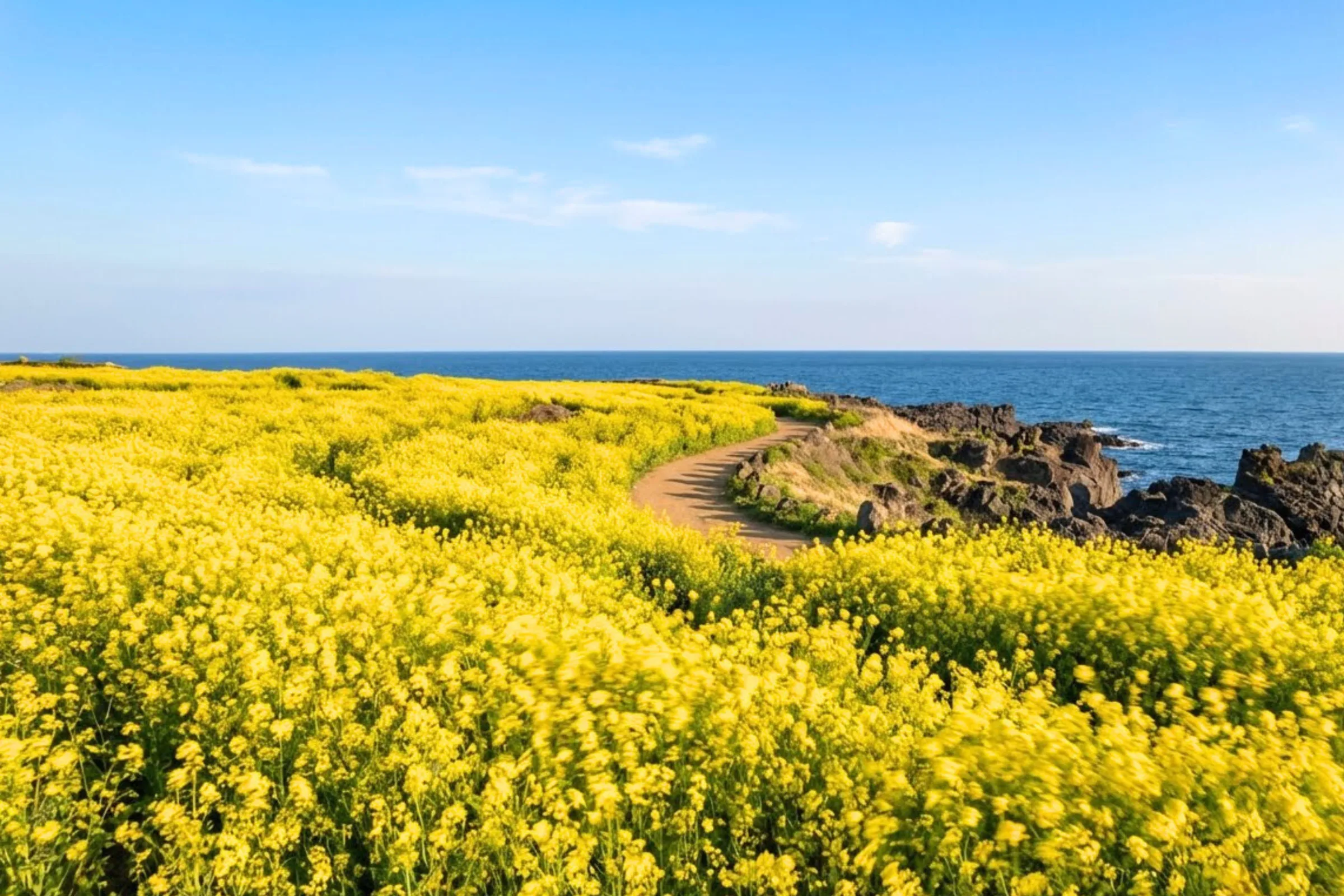 Du lịch Hàn Quốc mùa nào đẹp nhất?