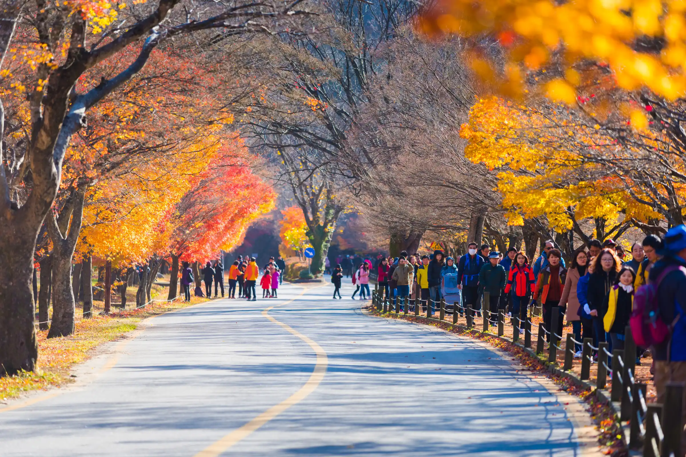 Du lịch Hàn Quốc mùa nào đẹp nhất?