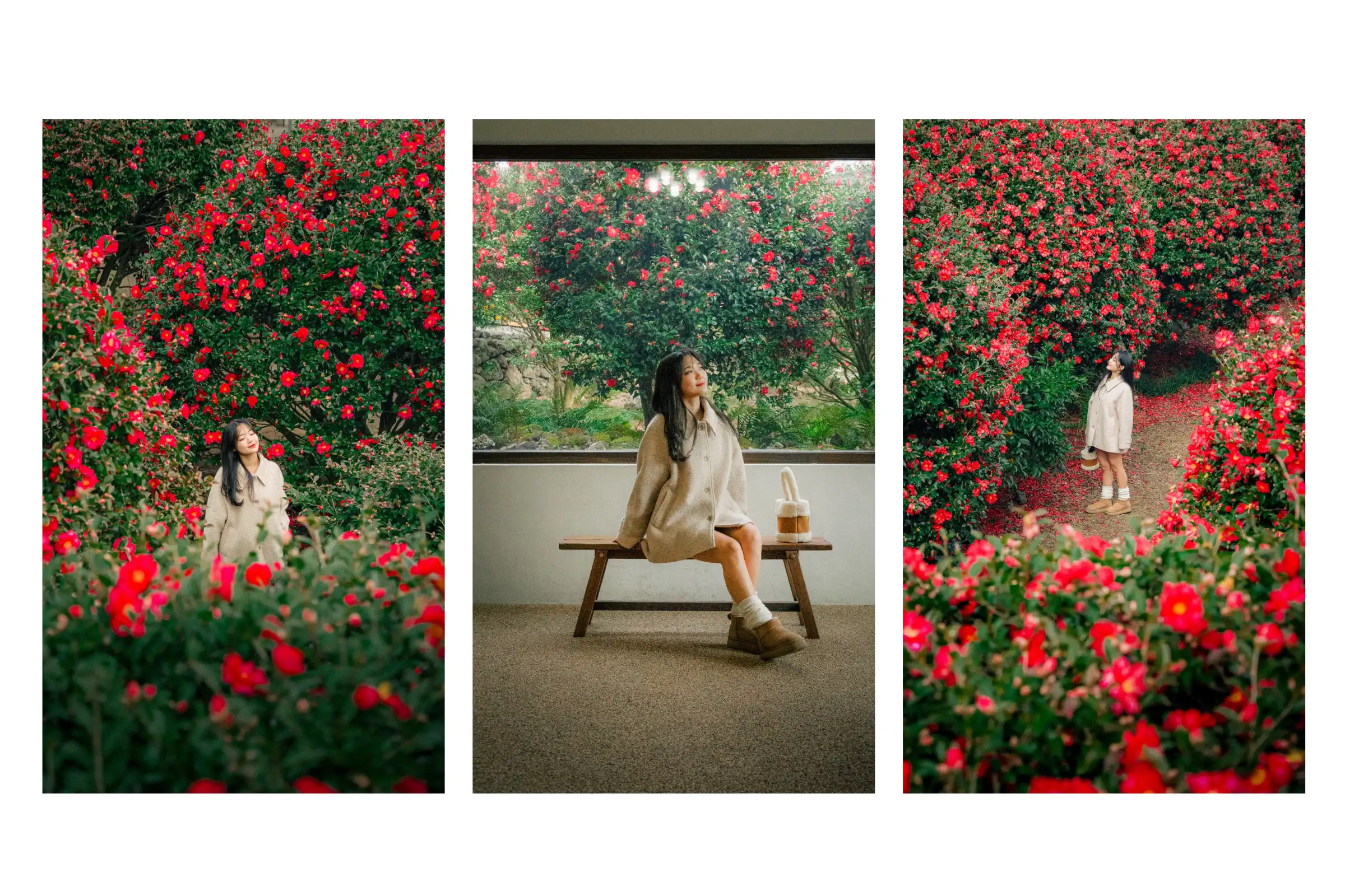 Du lịch Hàn Quốc mùa nào đẹp nhất?