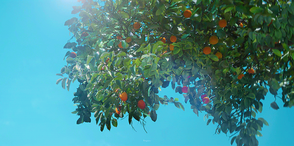 Du lịch Hàn Quốc mùa nào đẹp nhất?