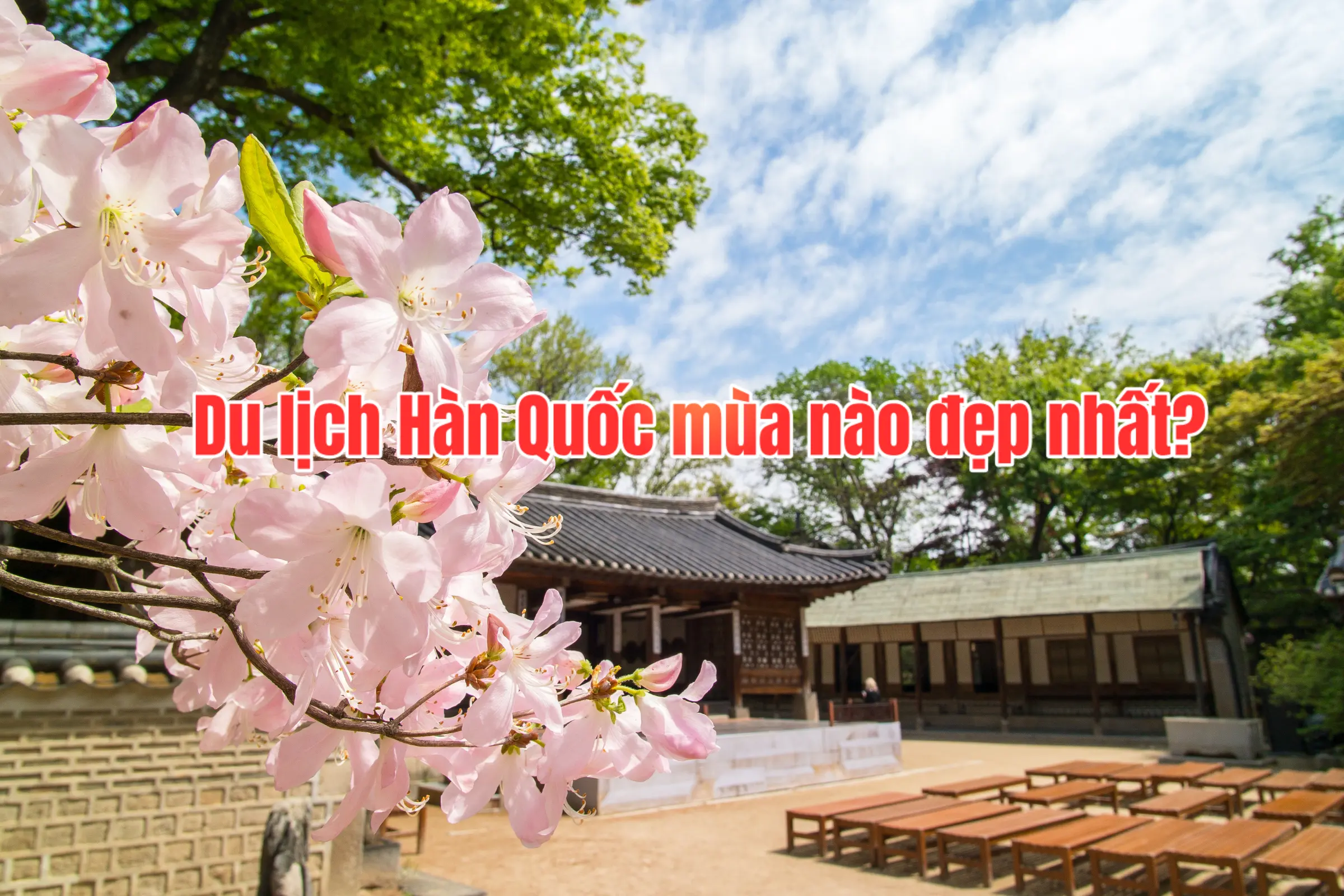 Du lịch Hàn Quốc mùa nào đẹp nhất?