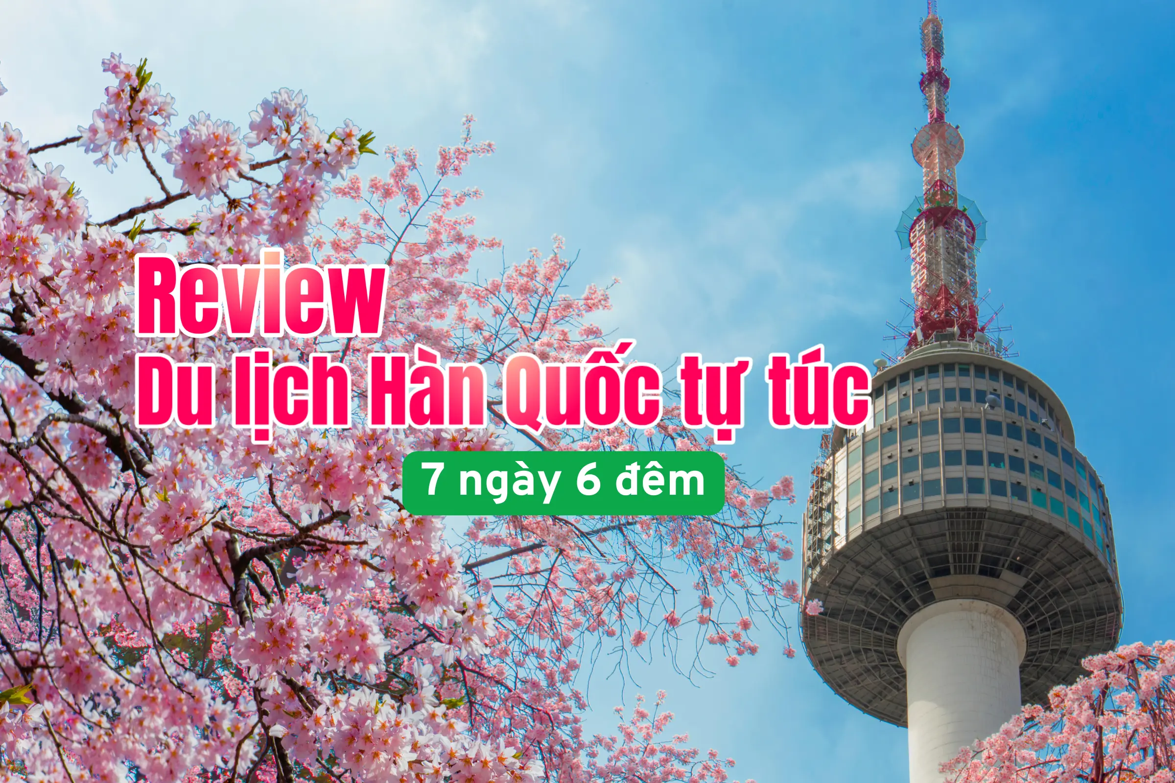 Review cực chi tiết lịch trình du lịch Hàn Quốc tự túc 7 ngày 6 đêm