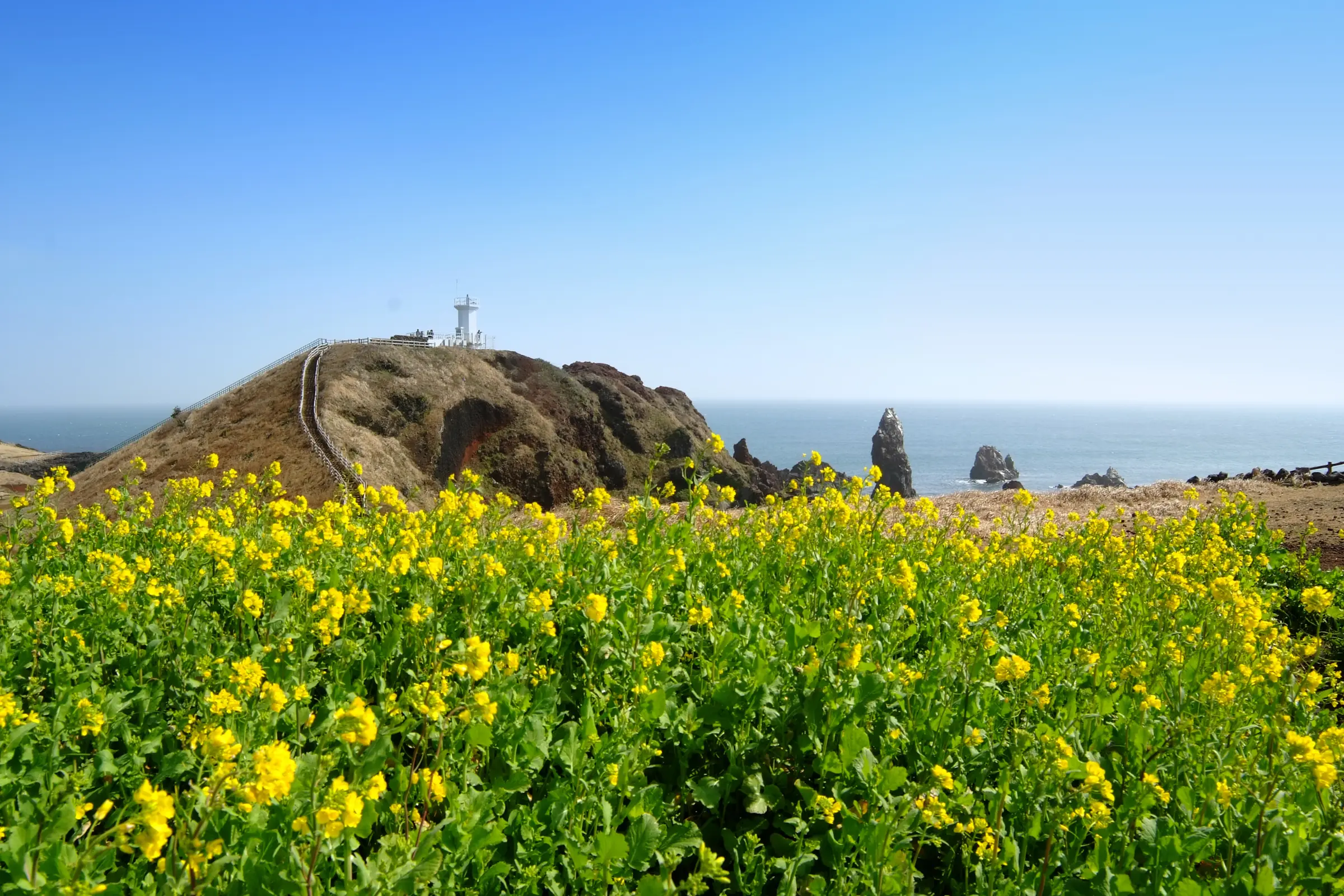 Đảo Jeju Hàn Quốc