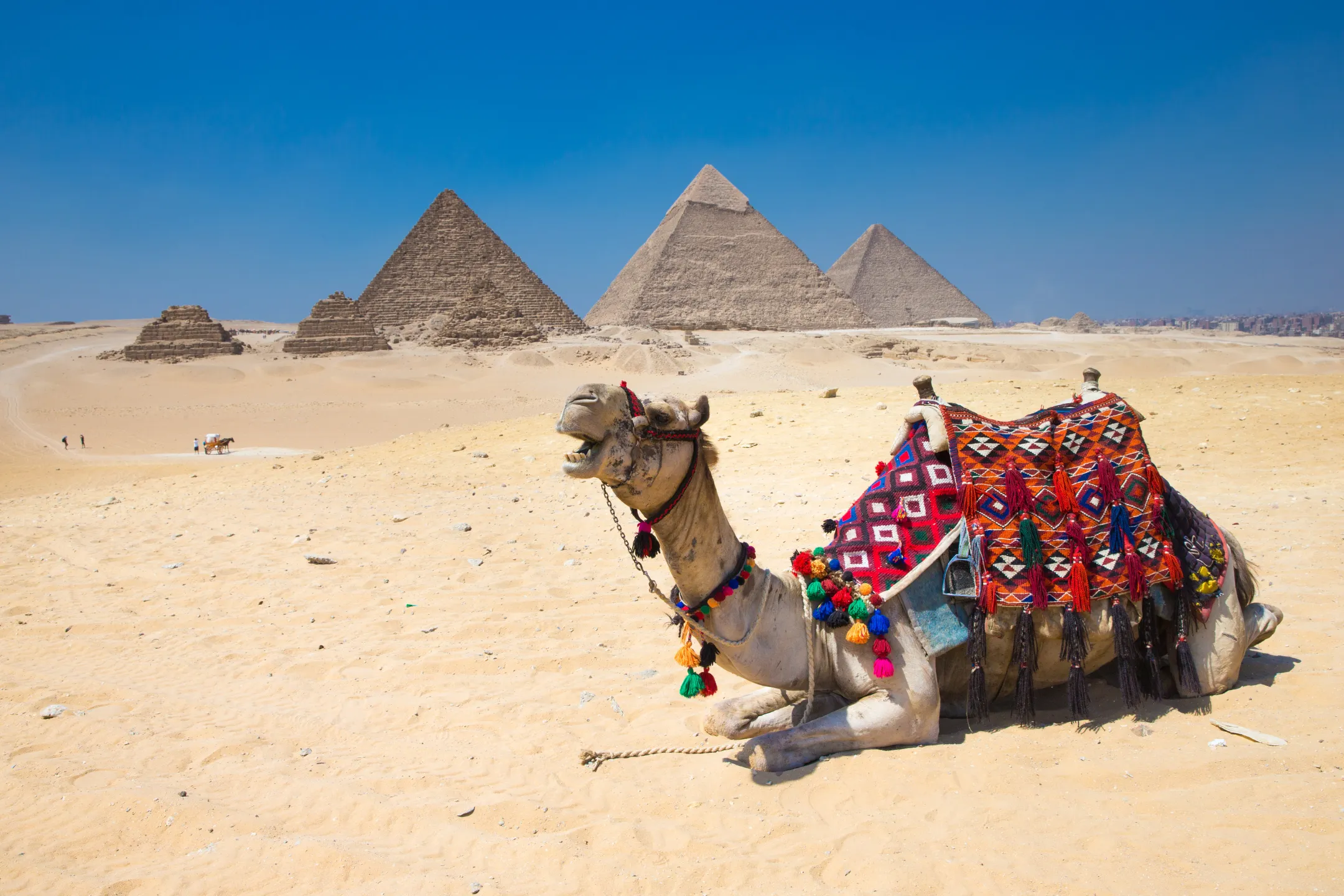 Tour Ai Cập 9 ngày 8 đêm: Cairo –&hellip;