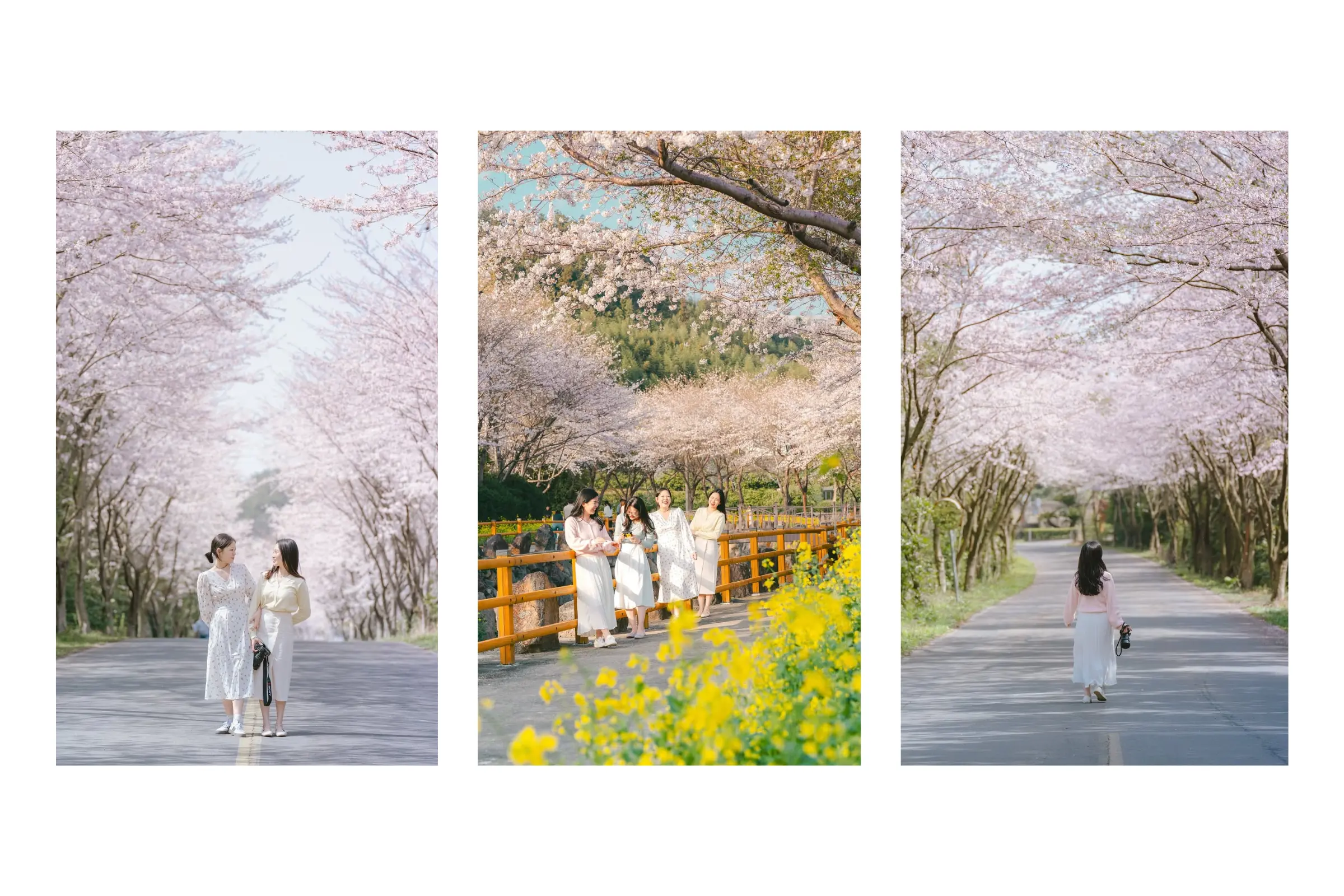 Tự xin visa du lịch Hàn Quốc có khó không?