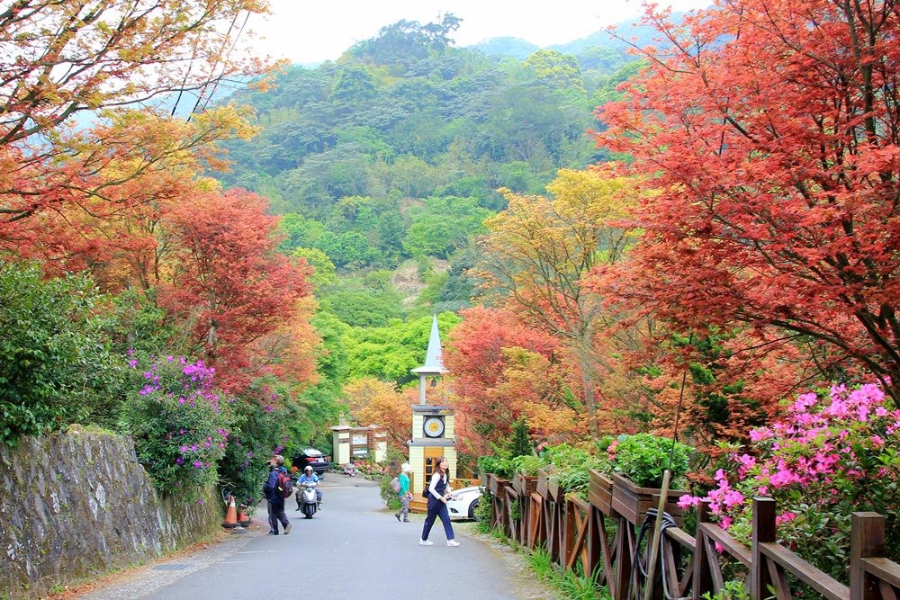 Tour Đài Loan mùa thu