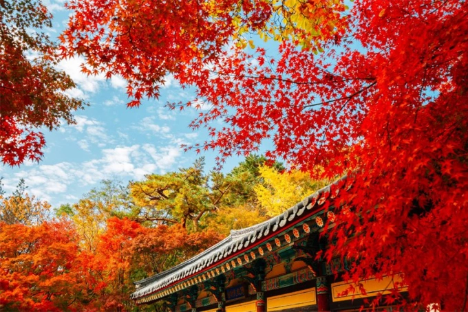 Tour Hàn Quốc mùa thu: Seoul – Everland –&hellip;