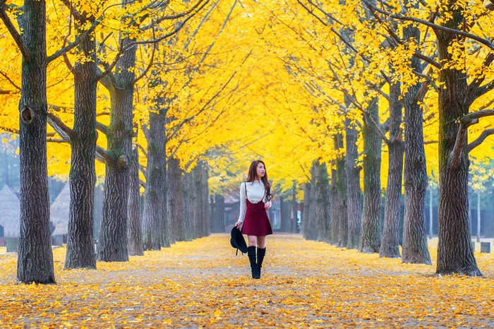 Tour Hàn Quốc mùa lá vàng, lá đỏ
