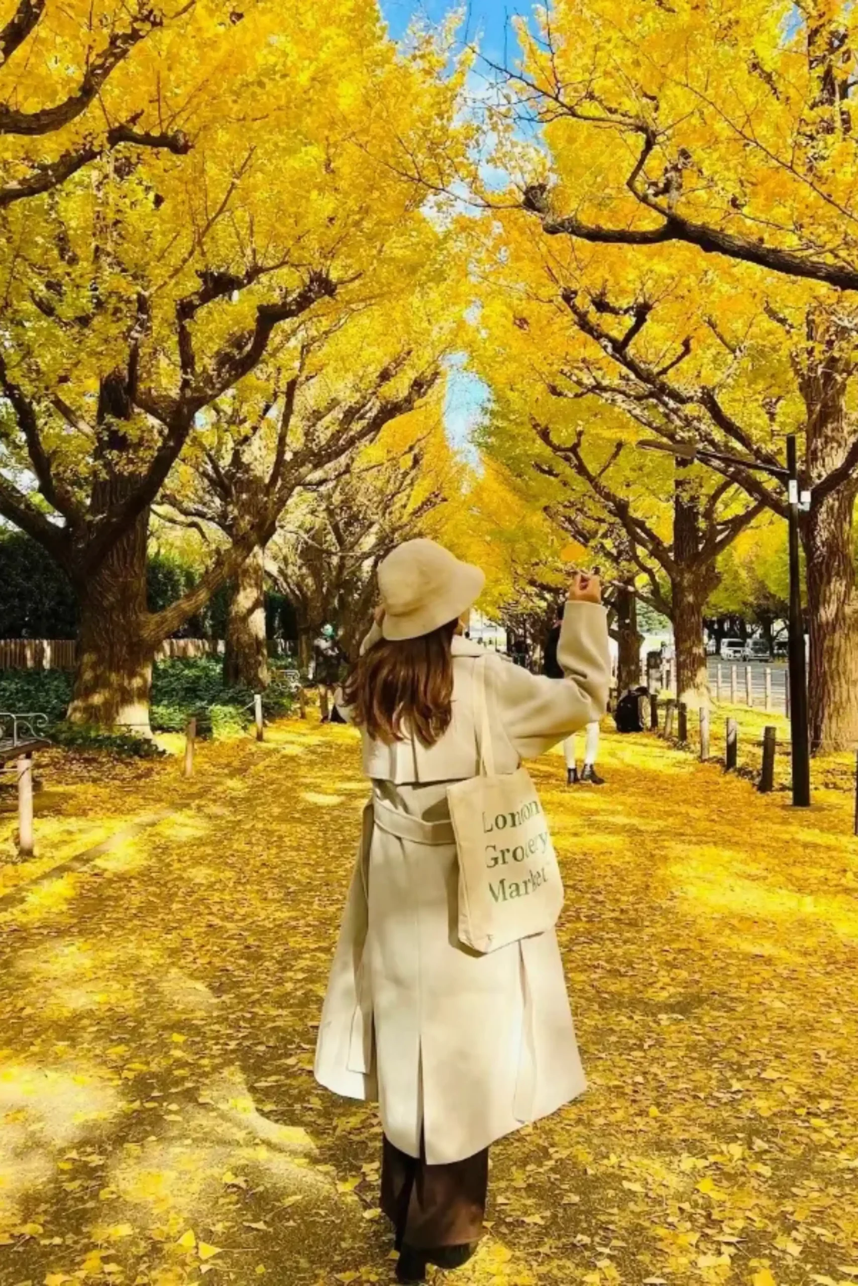Tour Nhật Bản mùa thu