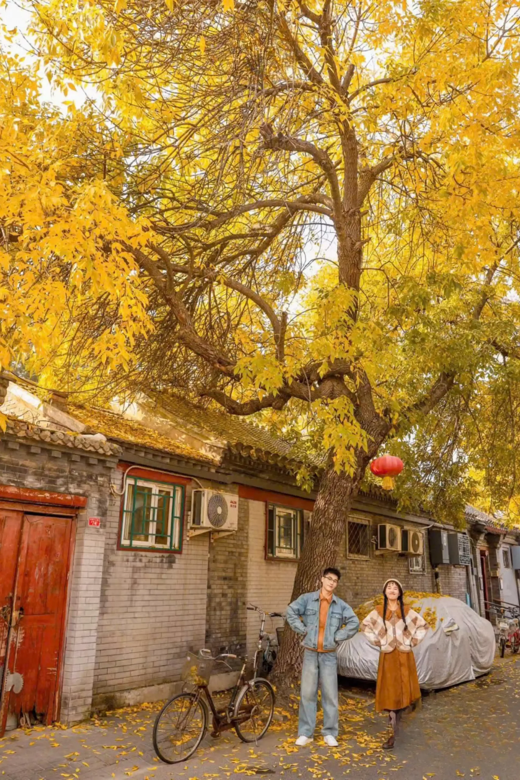Tour Thượng Hải - Hàng Châu - Tô Châu - Bắc Kinh mùa thu