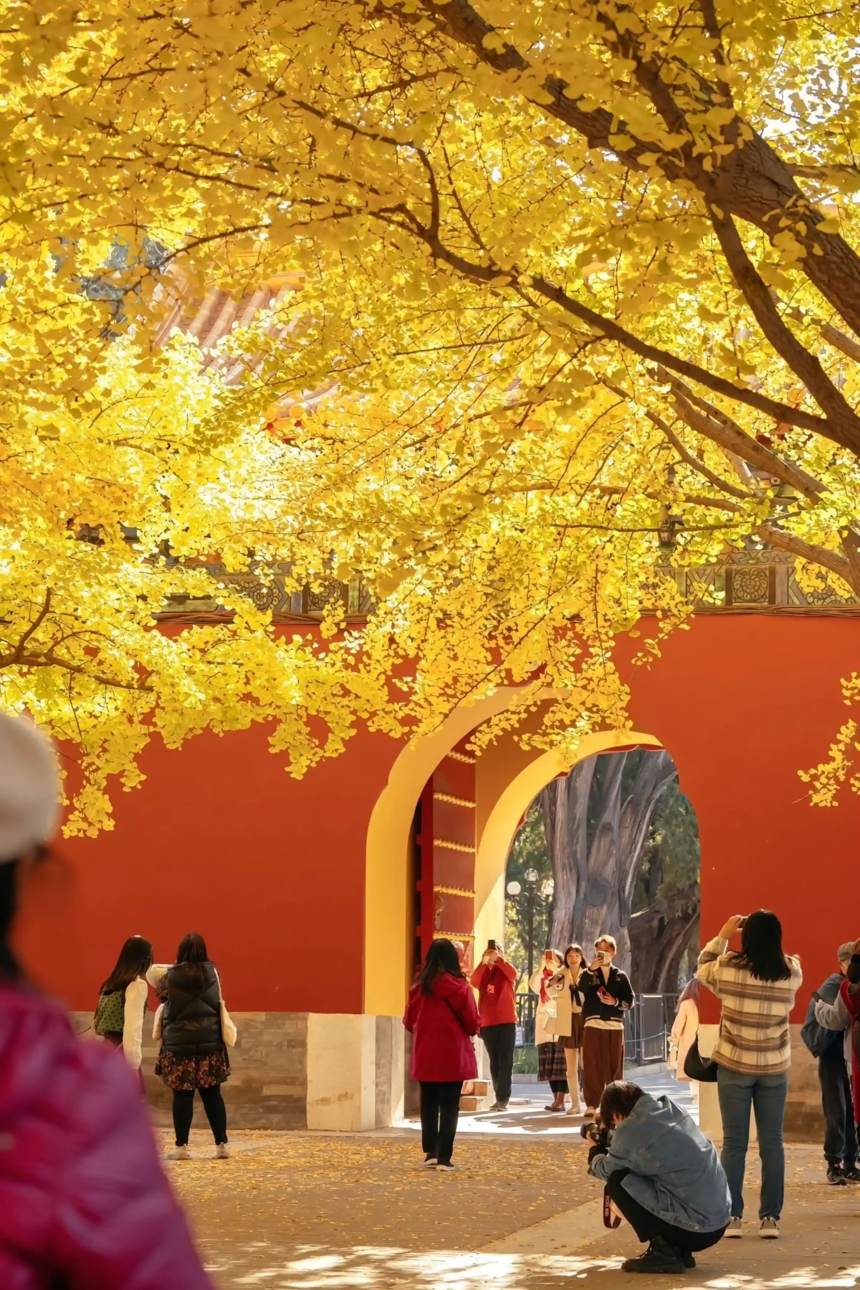 Tour Thượng Hải - Hàng Châu - Tô Châu - Bắc Kinh mùa thu