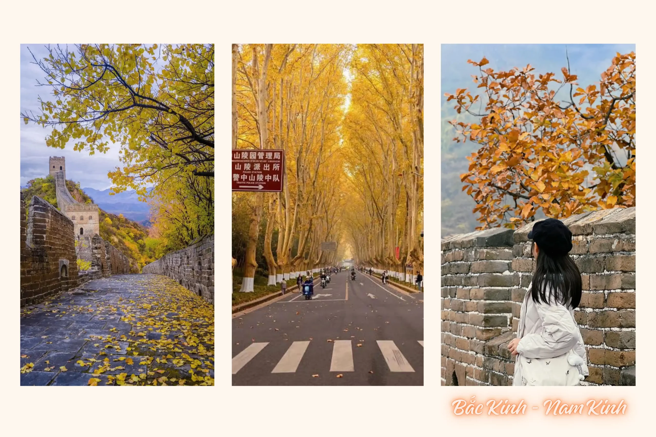Tour Trung Quốc mùa thu: Nam Kinh - Bắc Kinh