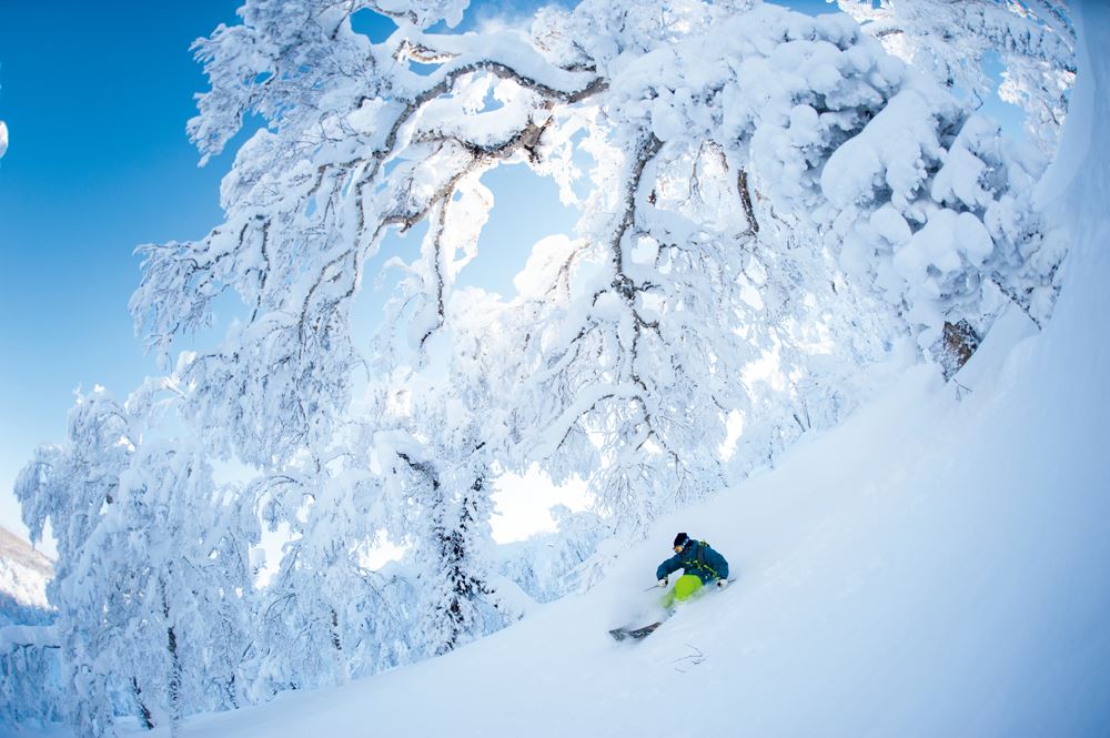 Tour Hokkaido mùa đông