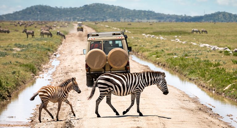 tanzania chau phi tour